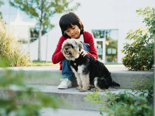 Mimiga caring for a dog